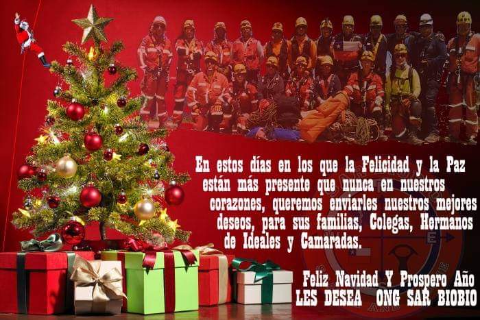 ong_sarbiobio's tweet photo. “La Navidad es el espíritu de dar sin tener pensamientos de recibir. Es felicidad porque vemos alegría en las personas. Es olvidarse de sí mismo y encontrar tiempo para otros. Es descartar lo que no tiene sentido y enfatizar los verdaderos valores.”
Thomas S. Monson https://t.co/7NPUVbrCEn