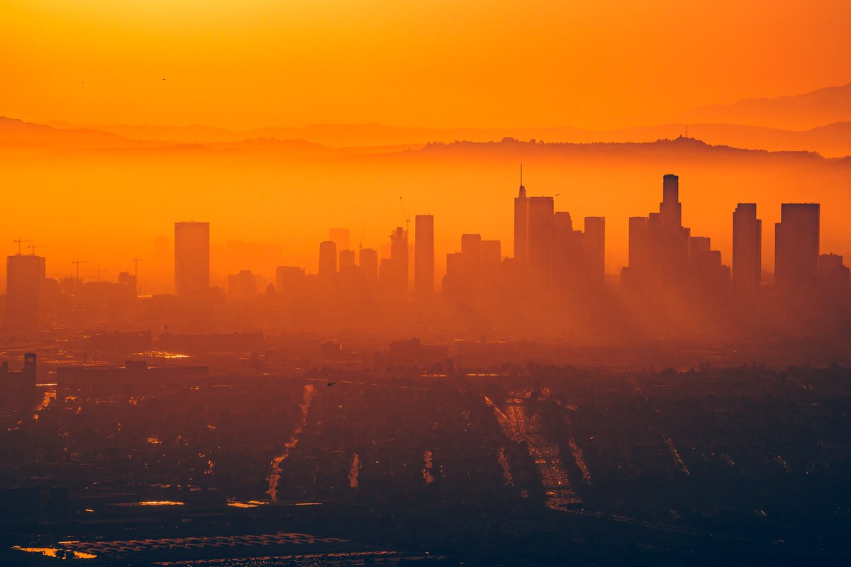 Dylan Schwartz tweet media