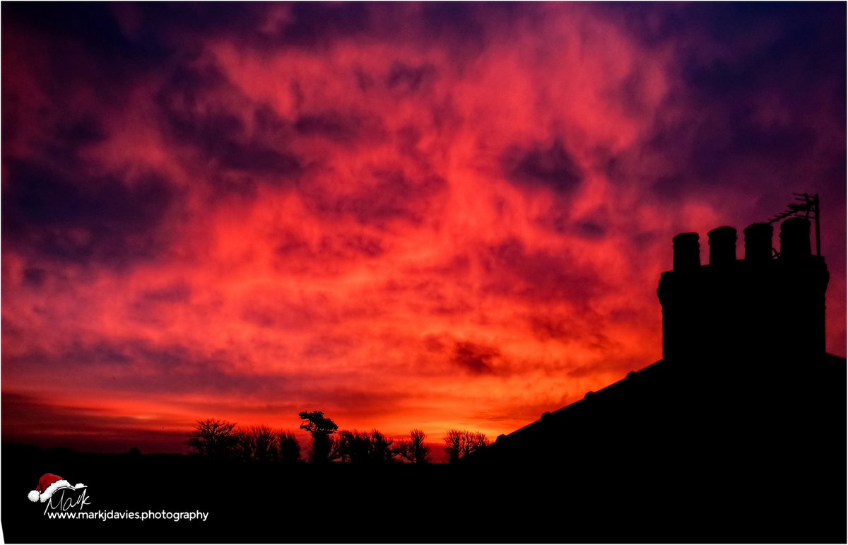 Mark J Davies Photography tweet media