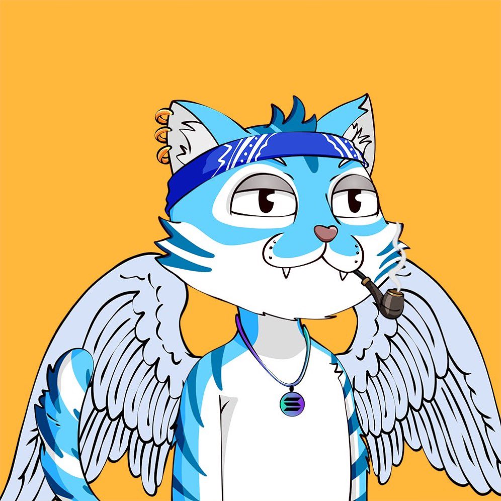 Olivia.sol tweet media