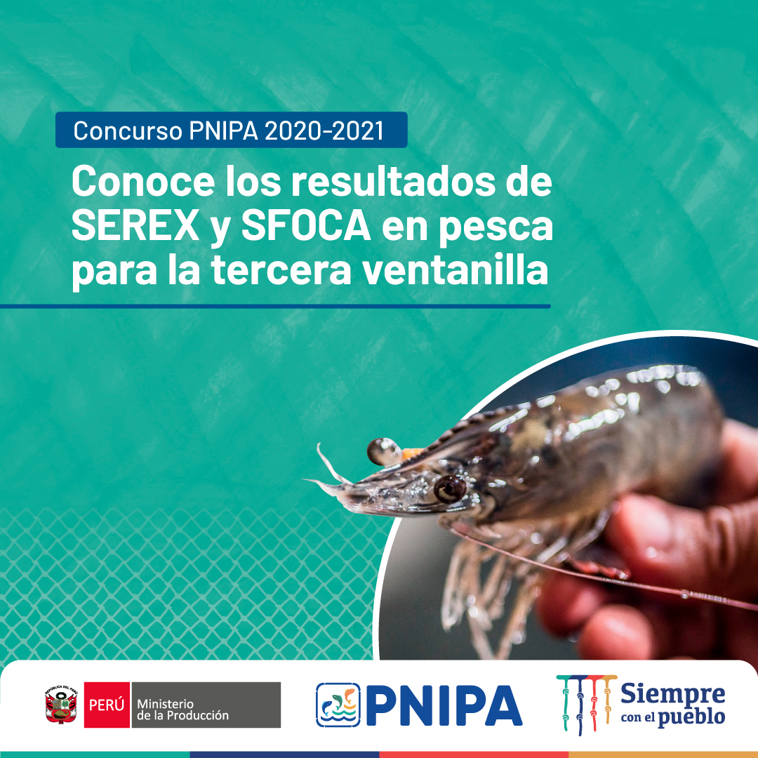 PNIPAPeru's tweet image. ¡Atención innovador! 💪🐟
Ya salieron los resultados de la tercera ventanilla del Tercer Concurso PNIPA 2020-2021 para el subsector Pesca en SEREX y SFOCA.
👉Pueden verlos en este enlace: pnipa.gob.pe/resultados-pes…
#Pesca #Innovación #SEREX #SFOCA