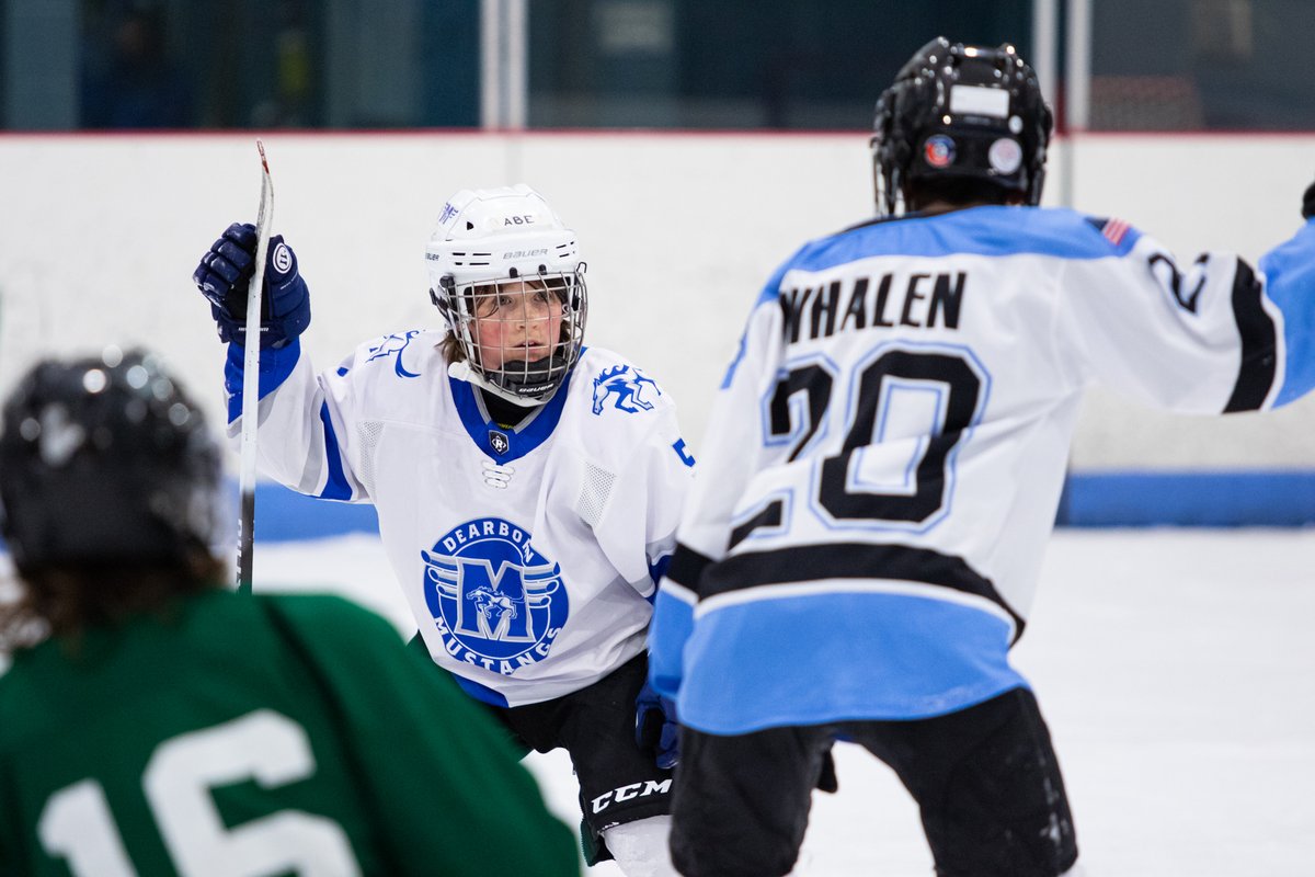 Suburban Ice FH tweet media