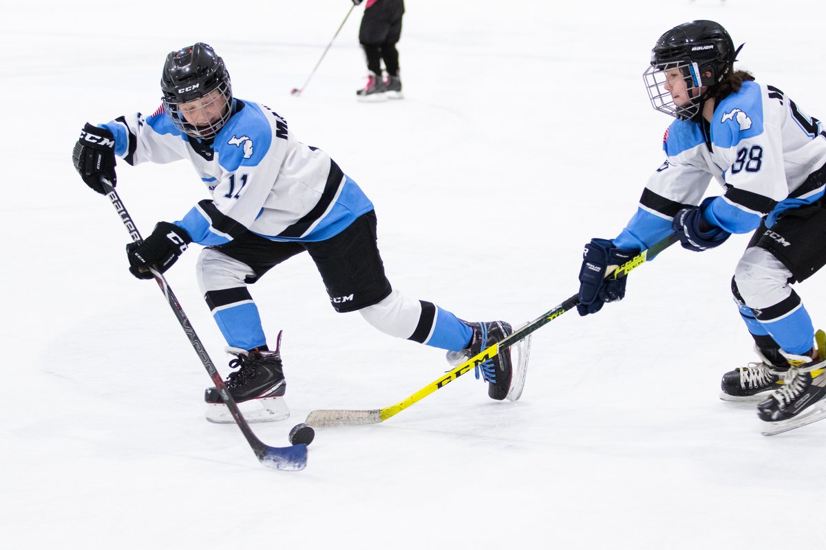 Suburban Ice FH tweet media