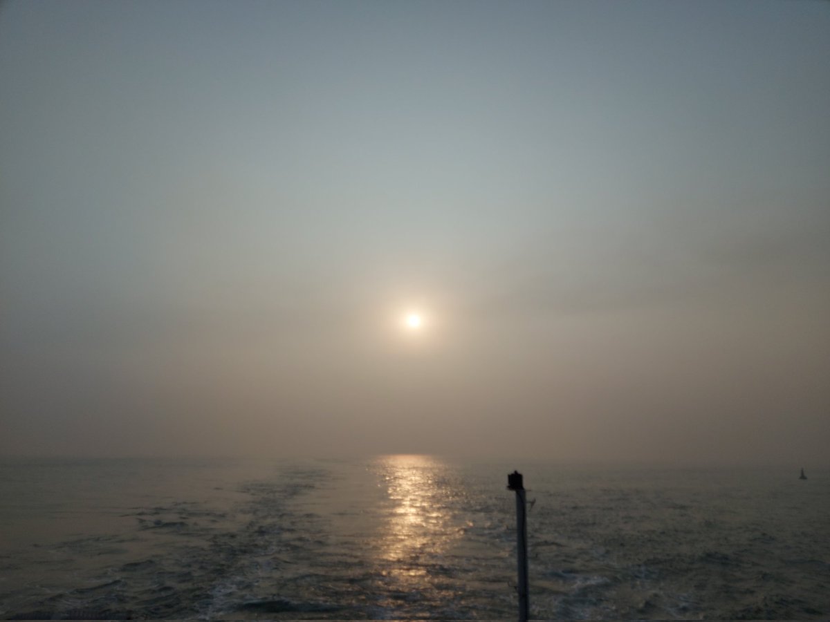 IndianSeafarers's tweet photo. they are do the course but not getting a jobs #OpenCdc #GpRating #MerchantNavy #India https://t.co/YCHVguqLKS