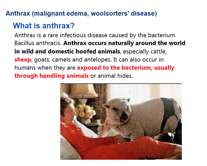 lindajaniebrou1's tweet photo. @PiperK Jovan Hutton Pulitzer ~ #antivaxxer, #Conspiracy theorist, #COVID19 denier, #ElectioFraud believer, worshipper of #republicanjesus &amp; #guns ~ got "anthrax" (aka woolsorters' disease) along w/many others at Mike Flynn's infest-o-fest? 

Has he been 'handling' any sheep lately?😷💉 https://t.co/7IQboDsGTN