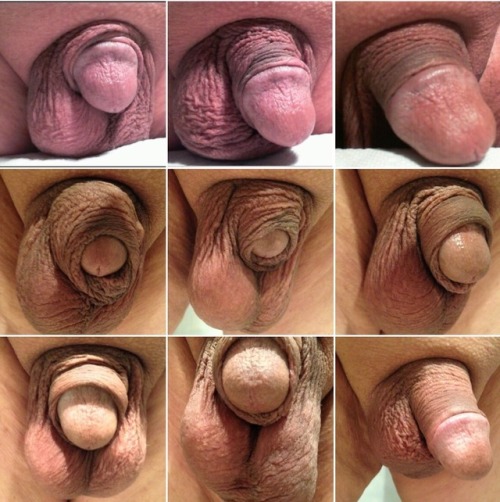 Tinyone90853609's tweet photo. An array of my clit dick pics..made by a friend.
He said a dick as small as mine needed to be exposed..    What do you think? https://t.co/tQOsx7M0U1