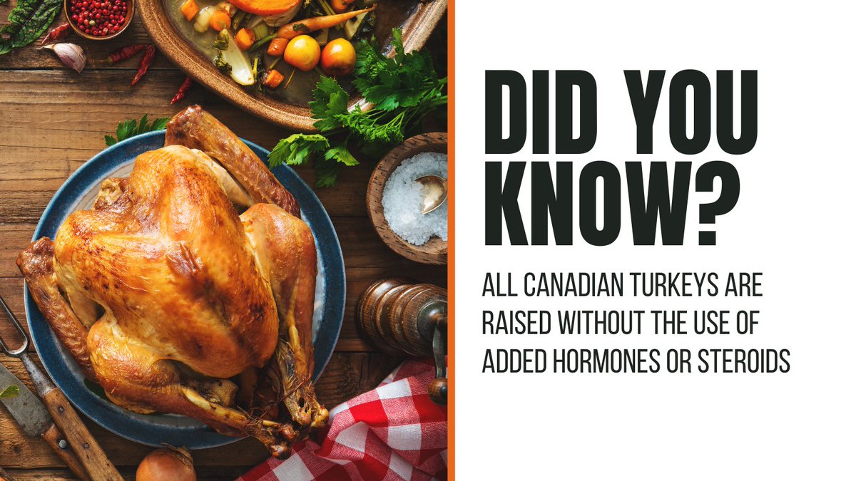 Turkey is popular to prepare for the holidays! Use this and other quick fact graphics to promote #localfood in your area from the #AlwaysinSeason toolkit ofa.on.ca/alwaysinseason/