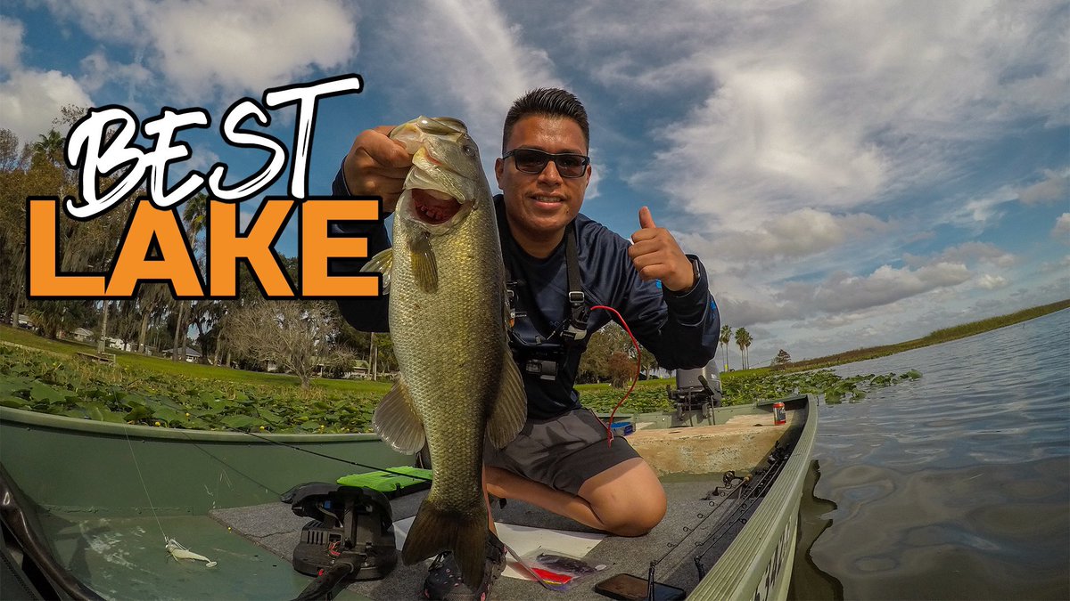 PescaLife tweet picture