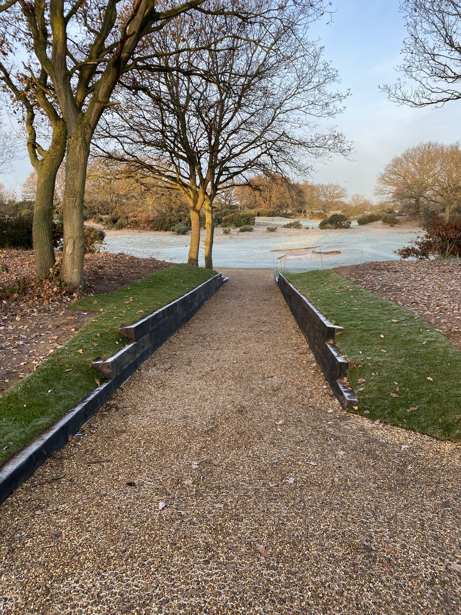 Aaron Allibon tweet media