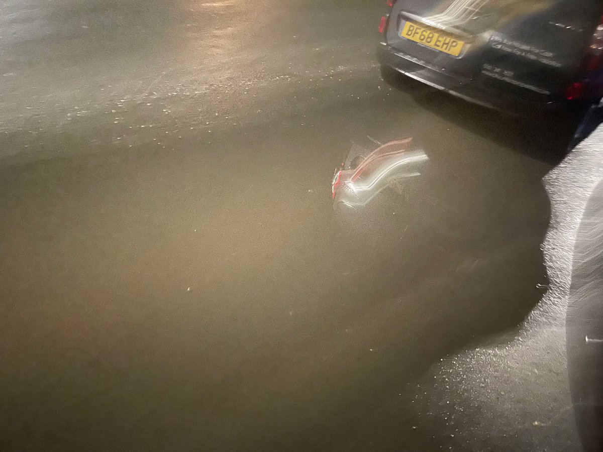 Scribble tweet media