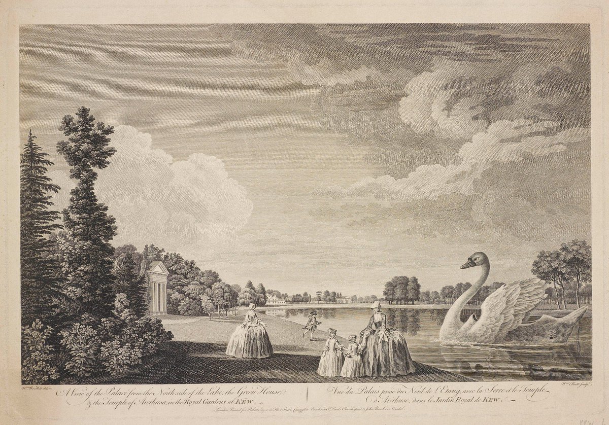Economicbotany's tweet photo. Fully funded PhD: "Plants on the move: Kew and the circulation of people, knowledge and plants between Britain and continental Europe" (strangely timely topic), collaboration of @KewScience &amp; @KU_Arch_Land closes 23 January 2022 pls retweet &amp; spread word https://t.co/tVXp3bOPsl https://t.co/fyXBQPkl7h