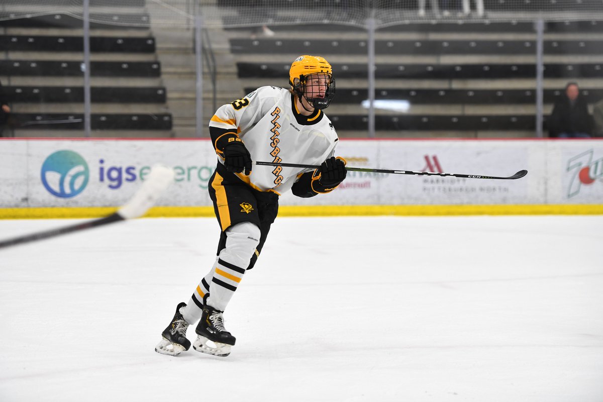 Zach Hixon Signs Tender with @JohnstownHawks in the <a href="/NAHLHockey/">NAHL</a>.

Details: bit.ly/3H9krDs

#PensElite