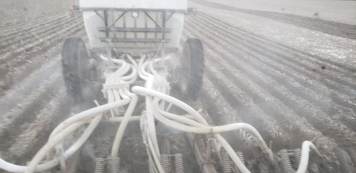 Finally some good conditions for fall stripping.  Working nicely.  #ontag, #striptill