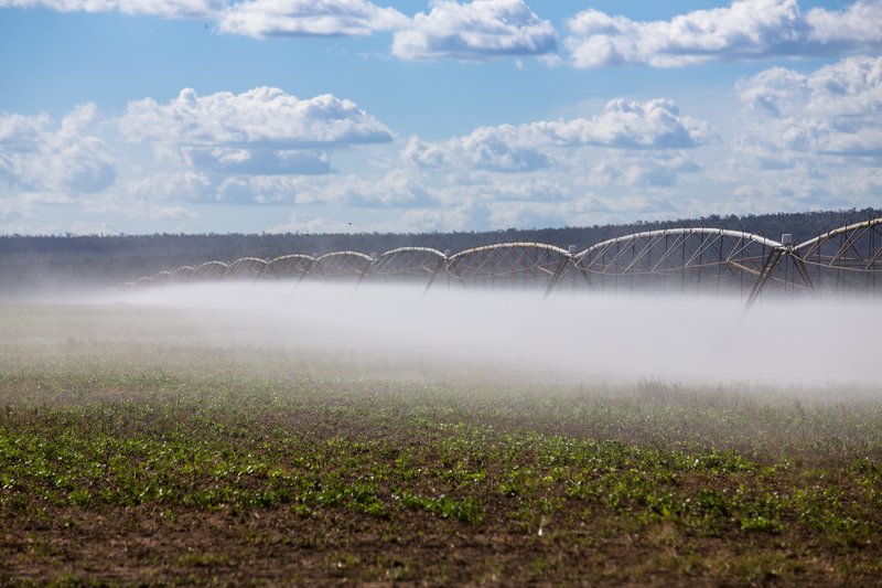 La declaración pública del Tribunal Permanente de los Pueblos (TPP) evidencia el proceso de generación de escasez de agua en el Cerrado brasileño provocado por la agroindustria y la minería. grain.org/e/6787