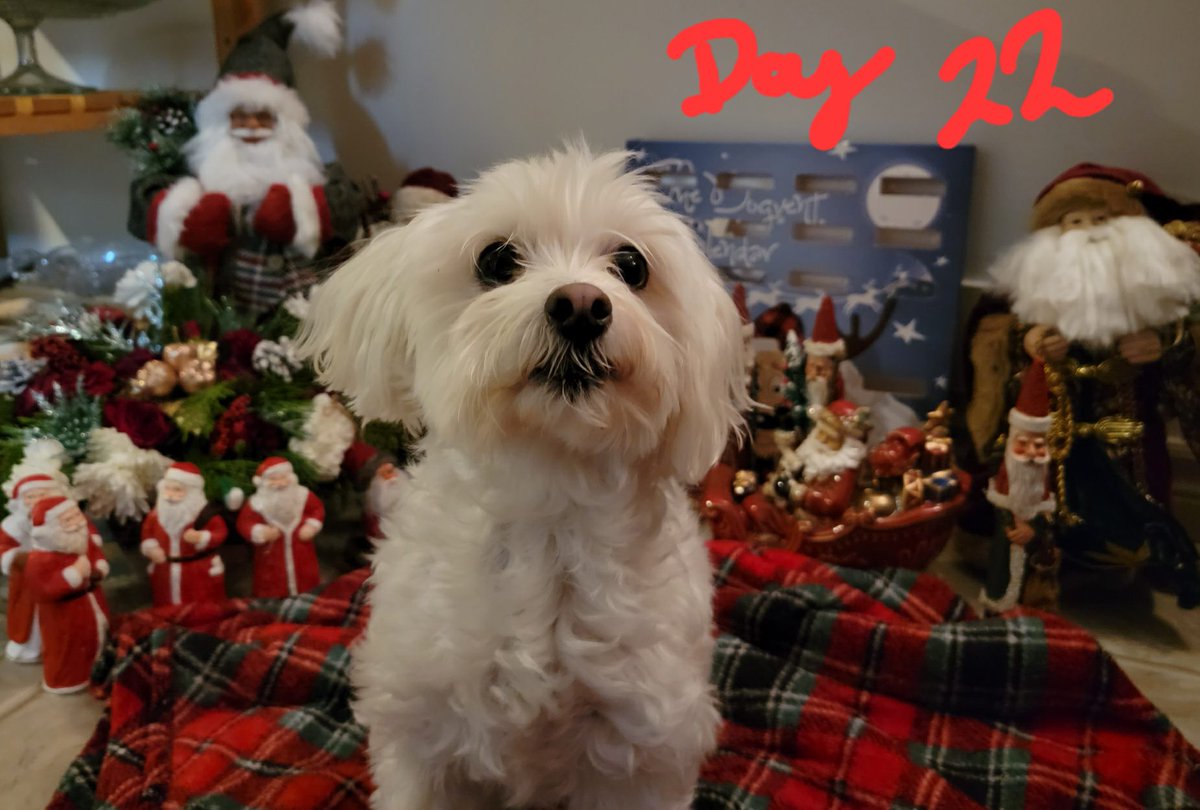 Kent Stringer tweet media