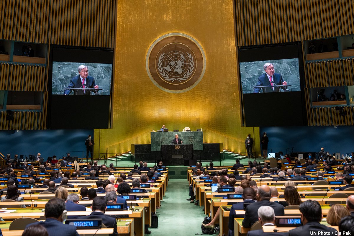 United Nations tweet media