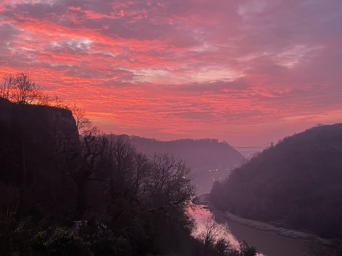 Peter Walters tweet media