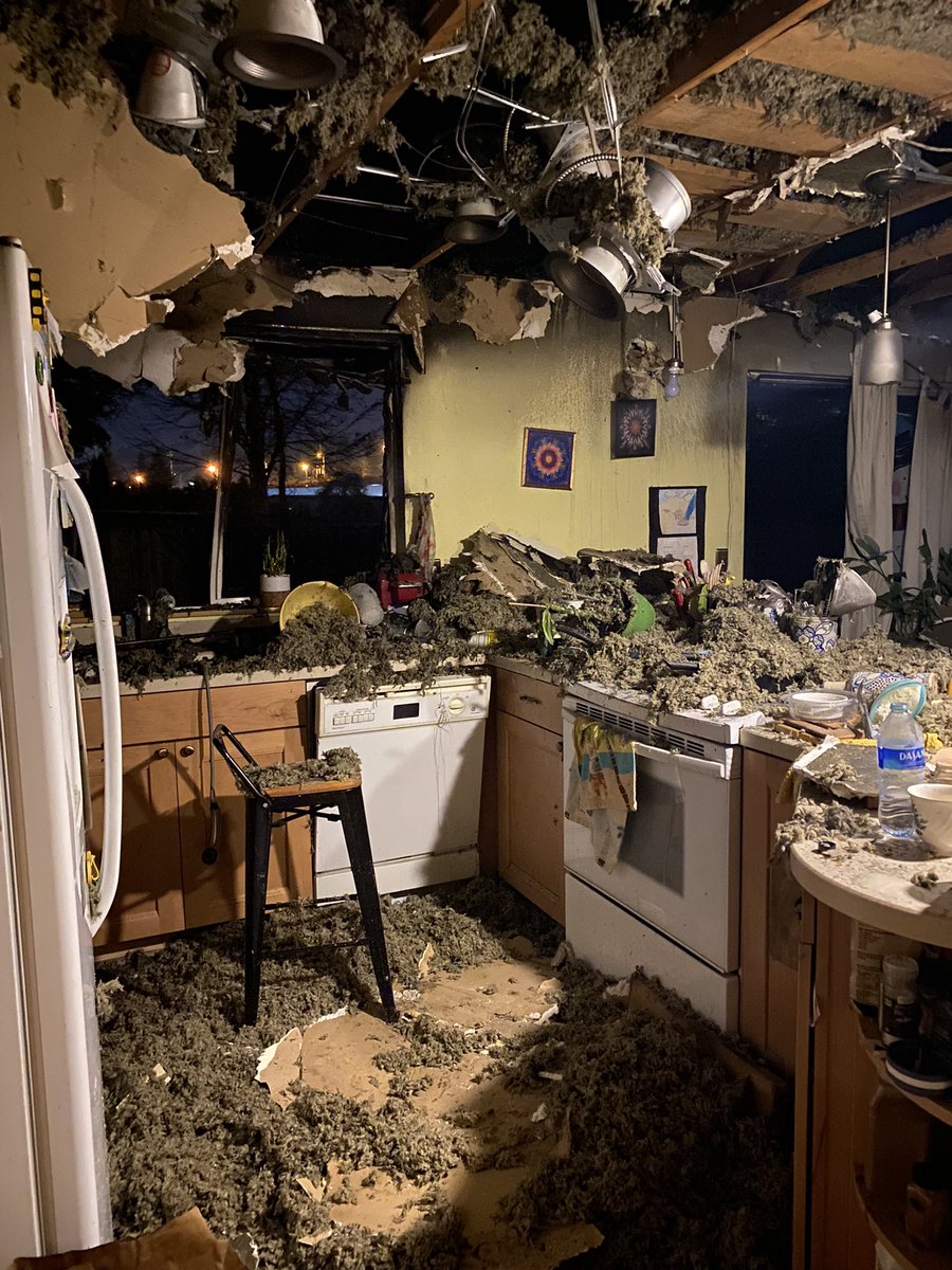 appeypie's tweet photo. hello everyone,
days ago there was a fire that took the lives of all of our chickens and made our house uninhabitable. 
the fire started outside, made its way into the attic and made our whole house toxic https://t.co/OlKURhqqAW