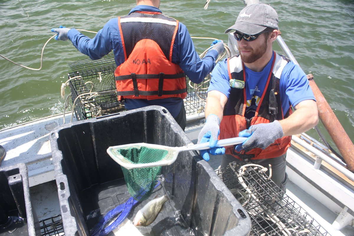 NOAAHabitat's tweet photo. College students: Planning for summer 2022? We're offering five paid internships that focus on the Chesapeake Bay: https://t.co/Y4EVOgN36s https://t.co/EGLFO39YFO