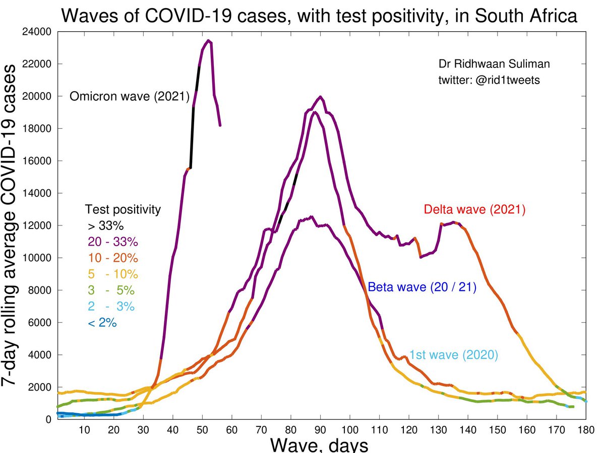 CORONA-DADES tweet media