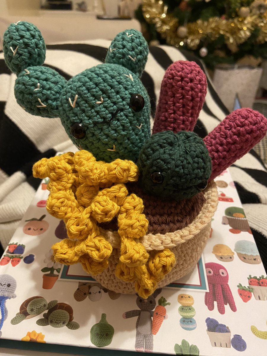 bekapod's tweet photo. Who needs real plants, yarn doesn’t need watering 😜🧶🌵 (tbf, I don’t know how often cacti need watering, I assume not a lot)

(pattern from a book named Whimsical Stitches which is conveniently placed below the planter) https://t.co/OqR57fc6mW