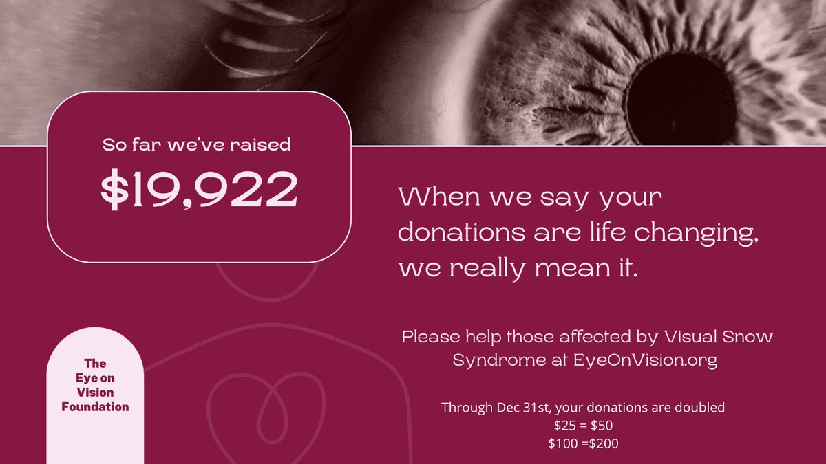EyeOnVision's tweet photo. Hurry, don't miss the chance for your #donation to make 2X the impact. For just a few more days --until Dec 31– a private donor to the Eye On Vision Foundation will double your gift to create a future without #VisualSnow #Donate at https://t.co/QOMQc8alo6 https://t.co/xtFtFsW08N