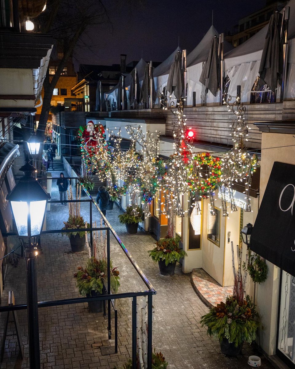 BloorYorkville's tweet photo. Festive lighting and holiday shopping at its finest 🌟💖
Don’t forget to stop by and check out the holiday lights on Bloor Street & in The Village of Yorkville Park!✨
#HolidayTime #Yorkville #BYTime #ShopBY #HolidayMagic21 @YorkvilleV @HoltsBloor
📸: @Jgazze https://t.co/2QebqJmgBF
