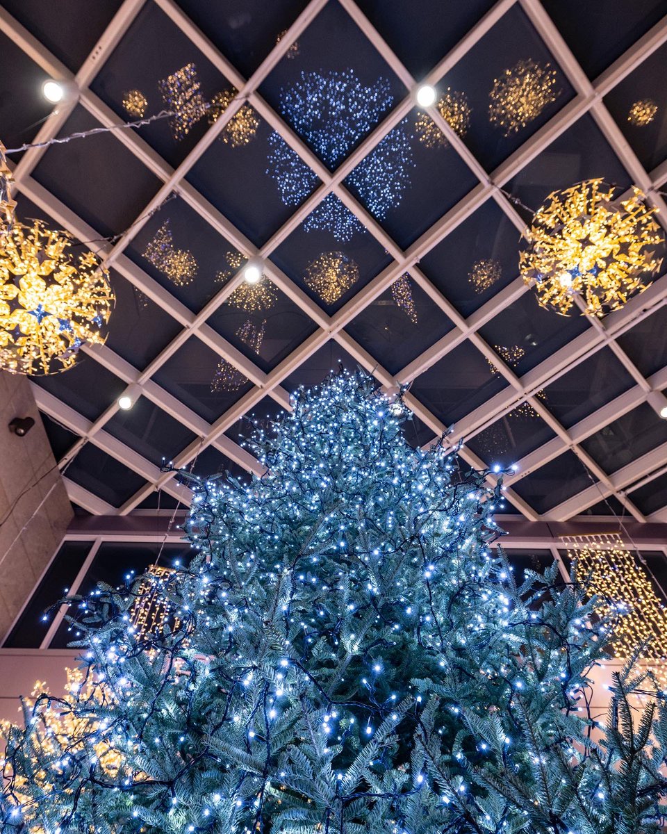 BloorYorkville's tweet photo. Festive lighting and holiday shopping at its finest 🌟💖
Don’t forget to stop by and check out the holiday lights on Bloor Street & in The Village of Yorkville Park!✨
#HolidayTime #Yorkville #BYTime #ShopBY #HolidayMagic21 @YorkvilleV @HoltsBloor
📸: @Jgazze https://t.co/2QebqJmgBF