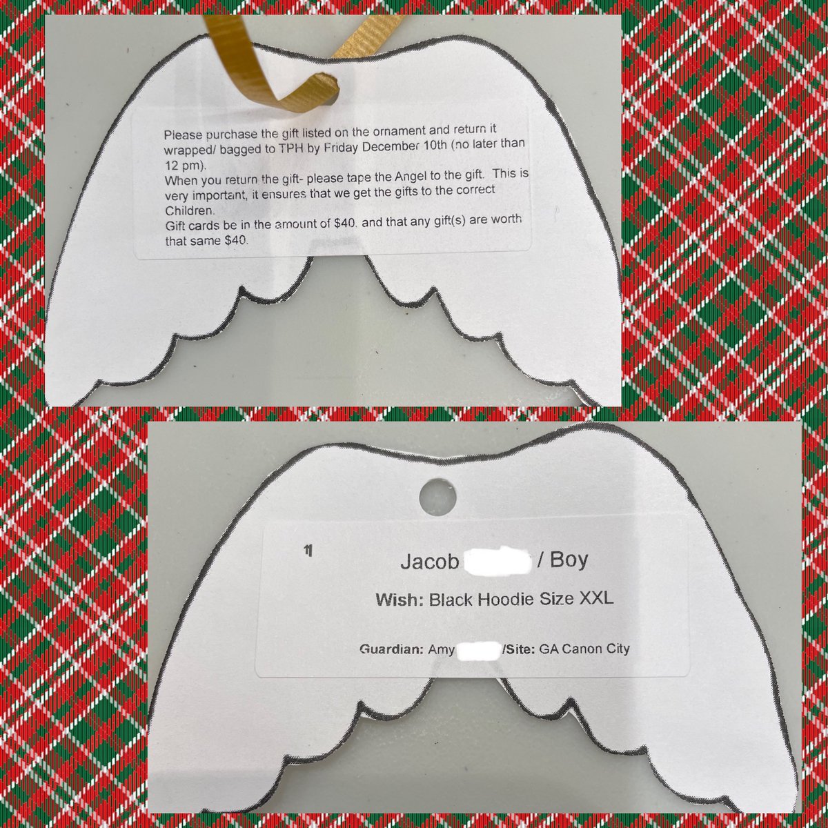 TPHColorado tweet media