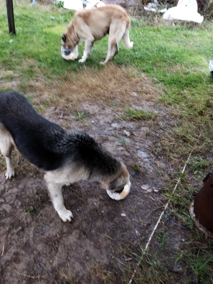 Veren lütfetti, ben sadece aracıyım.👍