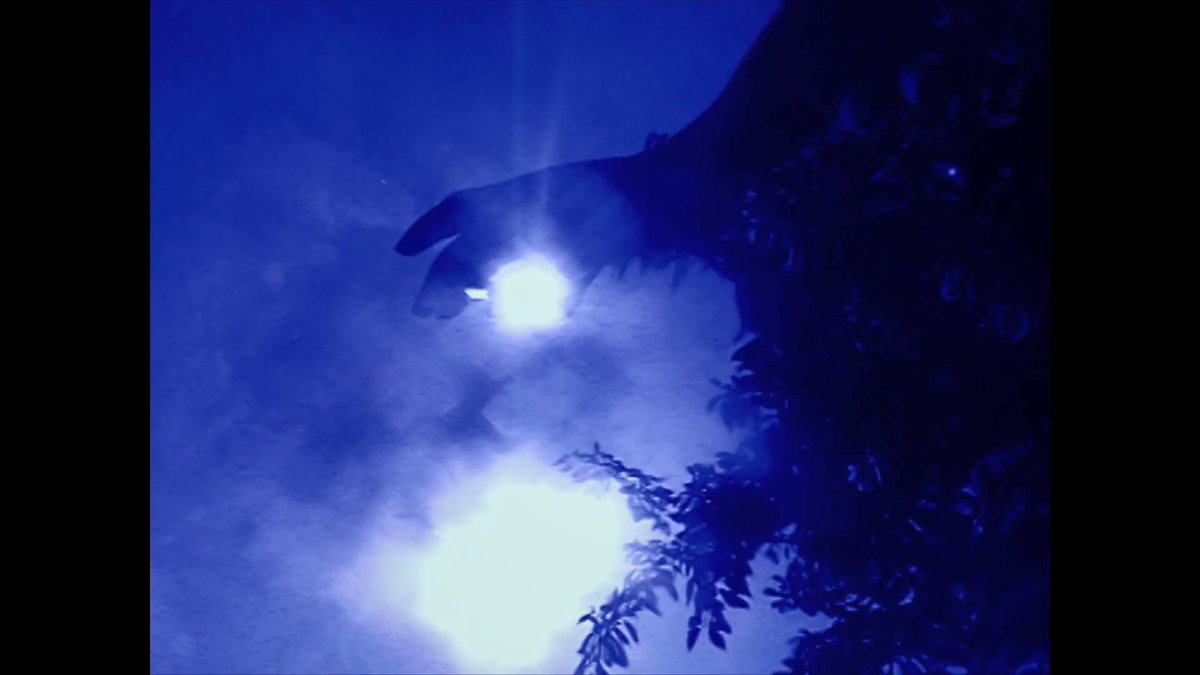 film ghost 幽霊 🎥 tweet media