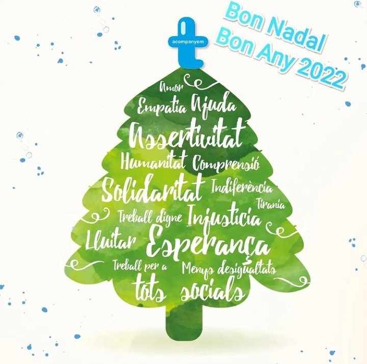 Us desitgem Bones Festes i que els valors del nostre arbre siguin ben presents l'any 2022 🎄