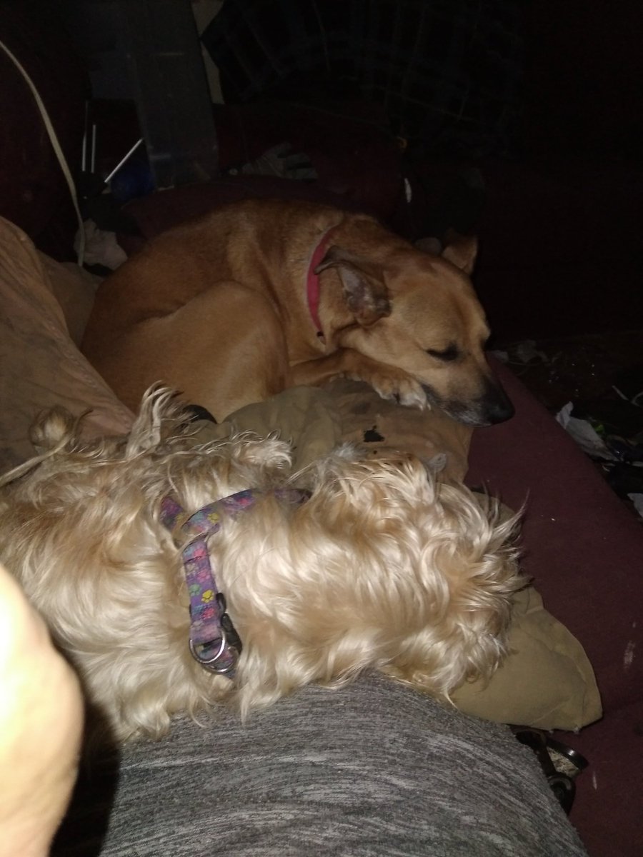 NEWTSWAG71's tweet photo. My alarm clock would be lost without them https://t.co/7bQOL7kaXI