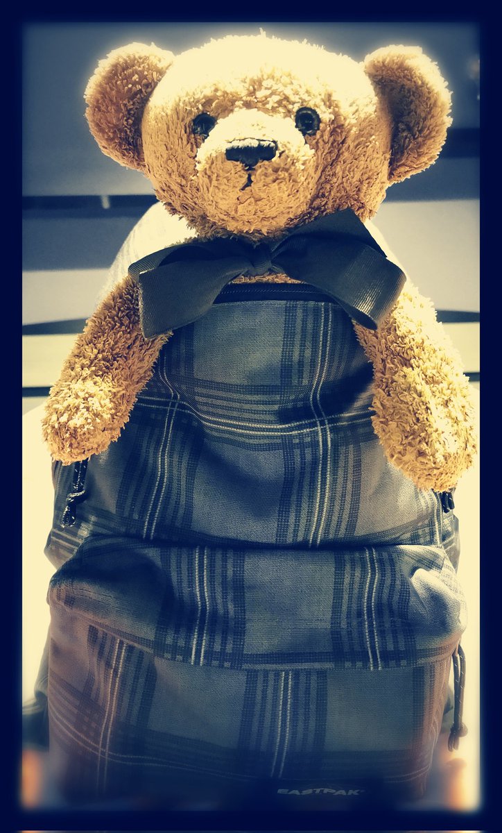 AngeliqueAUB's tweet photo. @AudeHenneville Mon dernier doudou toujours en vie... Qui me suis parfois encore !... 😊 Je crois qu'il aime pas trop rester seul... 🤔😂😂
La dernière fois, il a sauté dans mon sac à dos ! 🤣🤣🤣 
Les autres ont malheureusement eu la vie dur... 😔 https://t.co/fMOIisQRUi