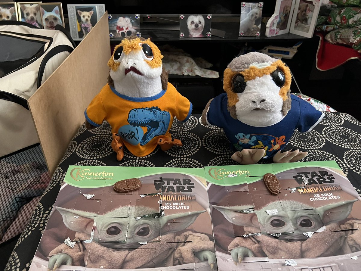 TinkerTigerBell's tweet photo. Porgby and Porgus opened the calendar this morning #porgscountdowntochristmas2021 #porgs #porg #porgnation #porglife #porgsofinstagram https://t.co/IRmHm5zz11