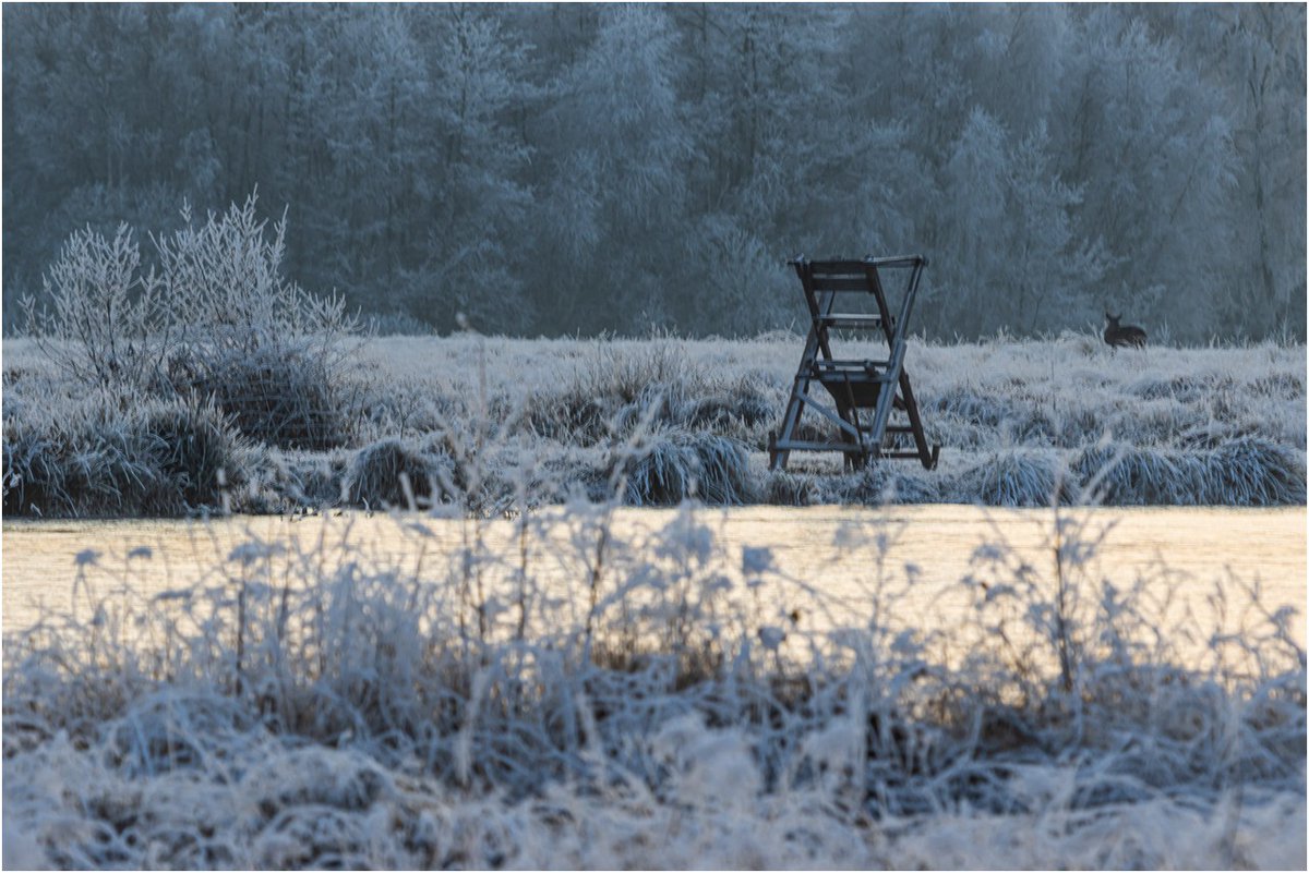 Cool! Im Großen Torfmoor, Kreis Minden-Lübbecke stehen jetzt ( 22.12.2021 )  wieder Sitzgelegenheiten für Senioren. Warum nutzt der NABU und die Biologische Station dies nicht für Werbung?