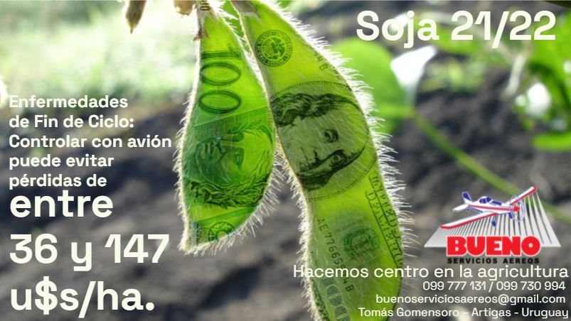 BuenoAereos's tweet photo. En esta zafra tené en cuenta que en EFC (enfermedades de fin de ciclo) en soja, controlar con avión puede evitar pérdidas de entre 36 y 147 u$s/ha.
Consultanos:
📲099 777 131
📲099 730 994
Bueno Servicios Aéreos 
Tomás Gomensoro - Artigas - Uruguay 🇺🇾 https://t.co/mu8a5iXkRL