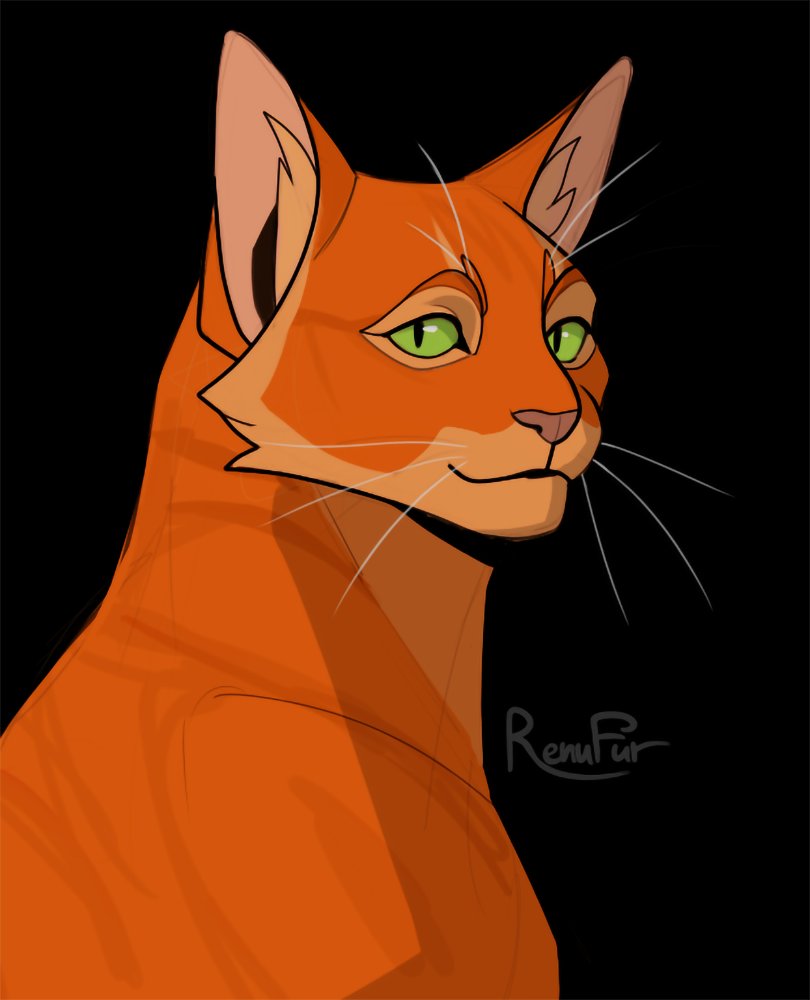 Warriors Firestar 