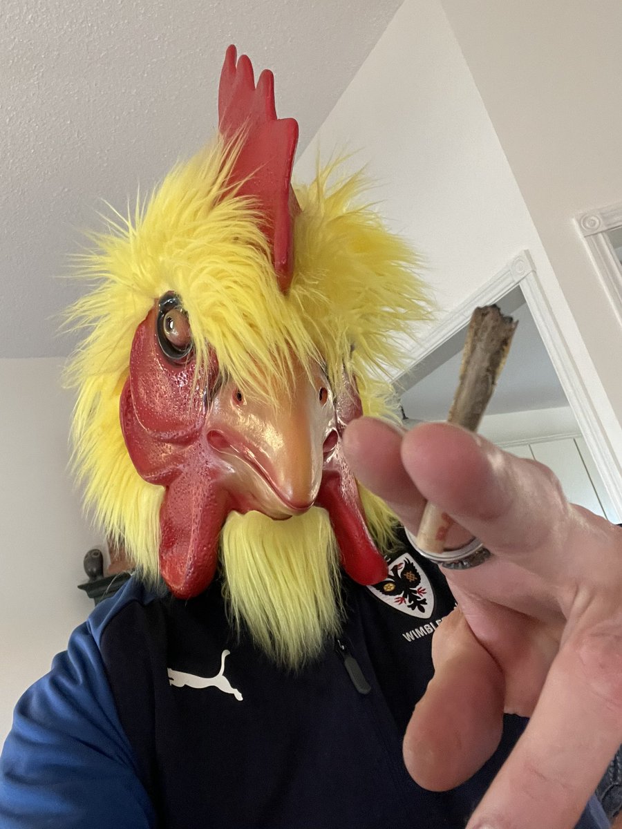 StFattysDay tweet media