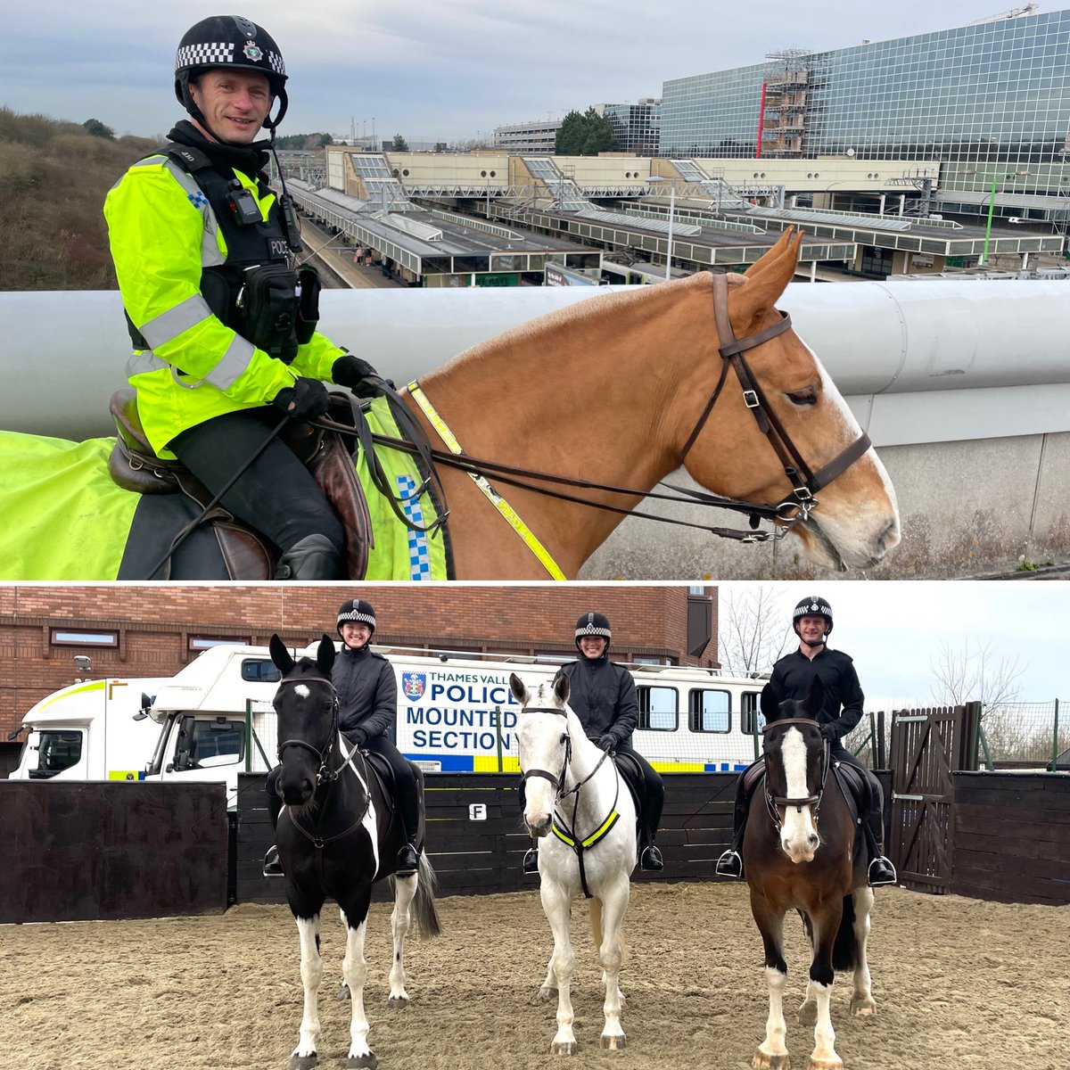 TVP_horses's tweet photo. A great time today training one of our #reserveriders!
Meet PC Martin-Dye who works on the @tvprp unit but who multitasks on our unit ๐ ๐ด
#jointoperationsunit #JOU #roadspolicing #mounted #onefamily https://t.co/UQuYCVNqgE