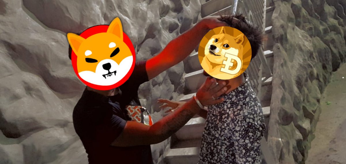 alone_shehzada's tweet photo. #MyCryptoWish #Binance common shiba kill the doge coin💥💥💥💥 @Shibtoken @dogecoin https://t.co/qQPx7q73c2