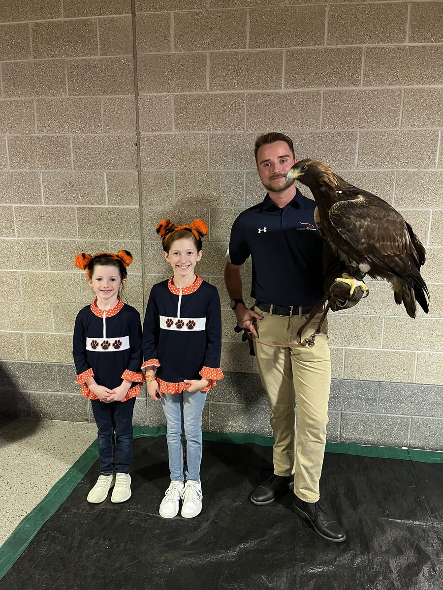 HaleyWBoyd's tweet photo. #wareagle #beatmurraystate @AuburnMBB https://t.co/fFmOQR7vXw