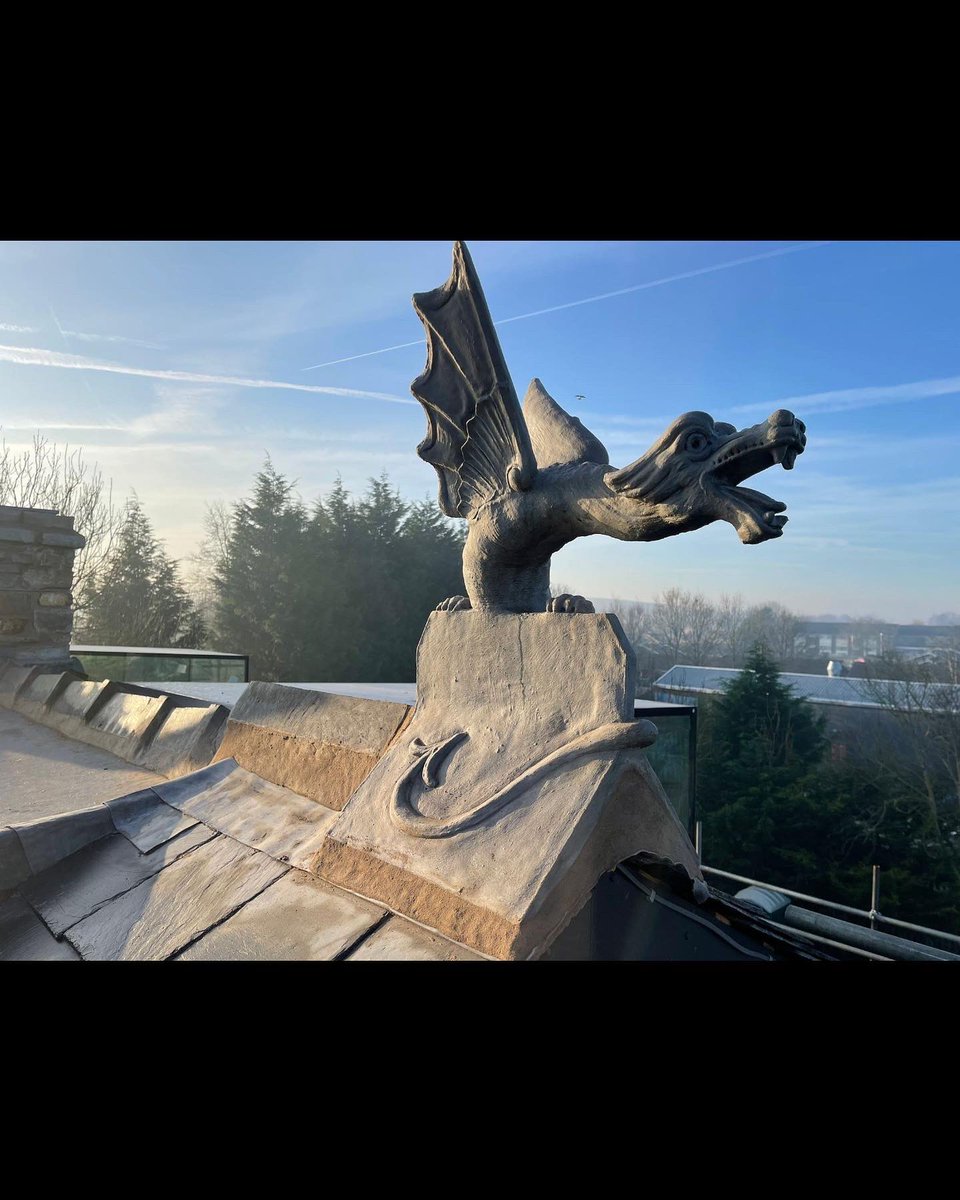 Taylor Rae Interiors tweet media