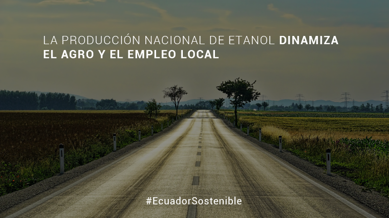 Apale_org's tweet photo. ¿Sabías que estadísticas oficiales muestran que hasta noviembre 2021 el 47% de vehículos que utilizan gasolina apostaron por un #BioCombustible? ⛽️🎋
#Ecopaís #EcuadorSostenible #MovilidadSostenible #APALE #AgroCombustibles https://t.co/sFxdhdsaRJ