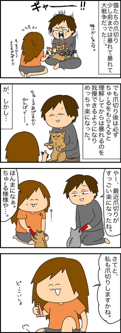うちの猫ども、賢い…🐱(再) 