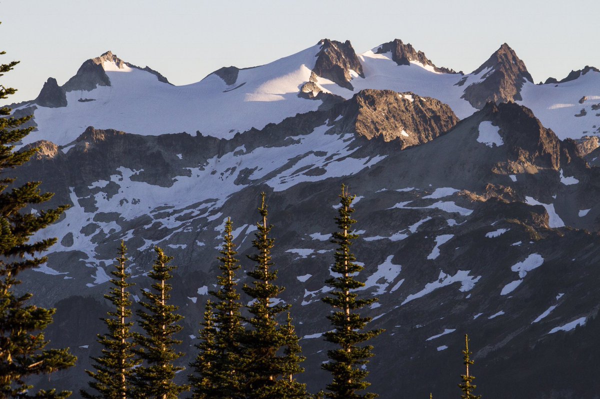 ForestServiceNW's tweet image. There’s a different kind of quiet that falls on snow-dusted trees in #winter—a calm assurance of passing seasons, of warmth &amp;amp; new possibilities yet to come.