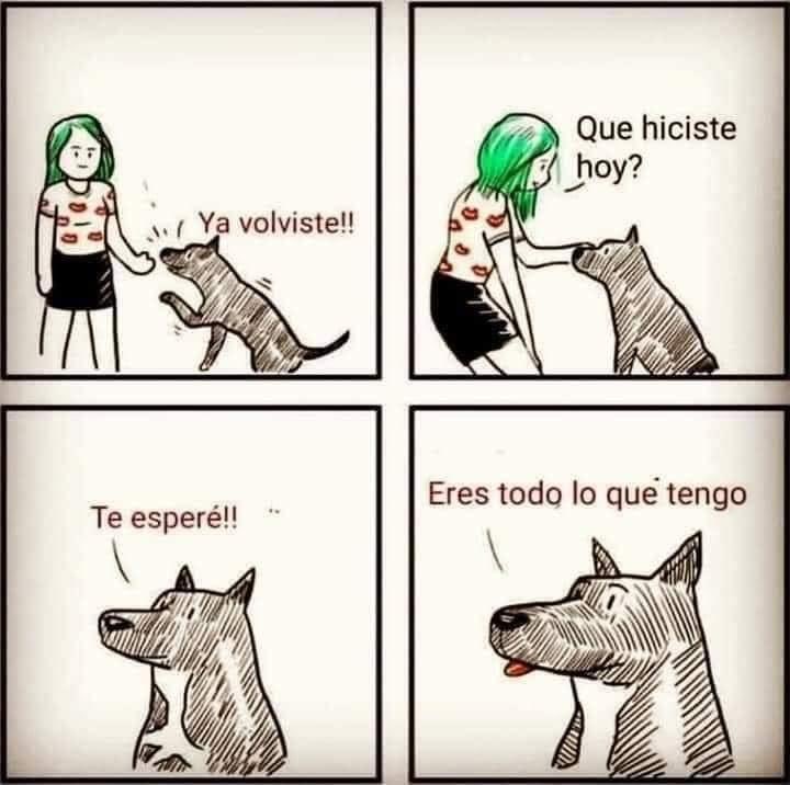 DiloConPerritos's tweet photo. Eres todo lo que tengo ✨ https://t.co/G46RDNGvkG