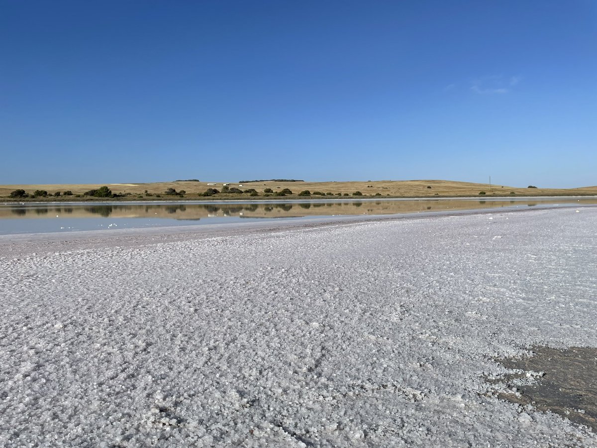 CrustySound's tweet photo. Observing research into the fragile ecosystem of the Coorong - even though it doesn’t stop blowing down here my @Bubblebee_Ind #Windbubbles have given me useable audio.
#LocationSound #SouthAustralia https://t.co/ZQbEepKobe