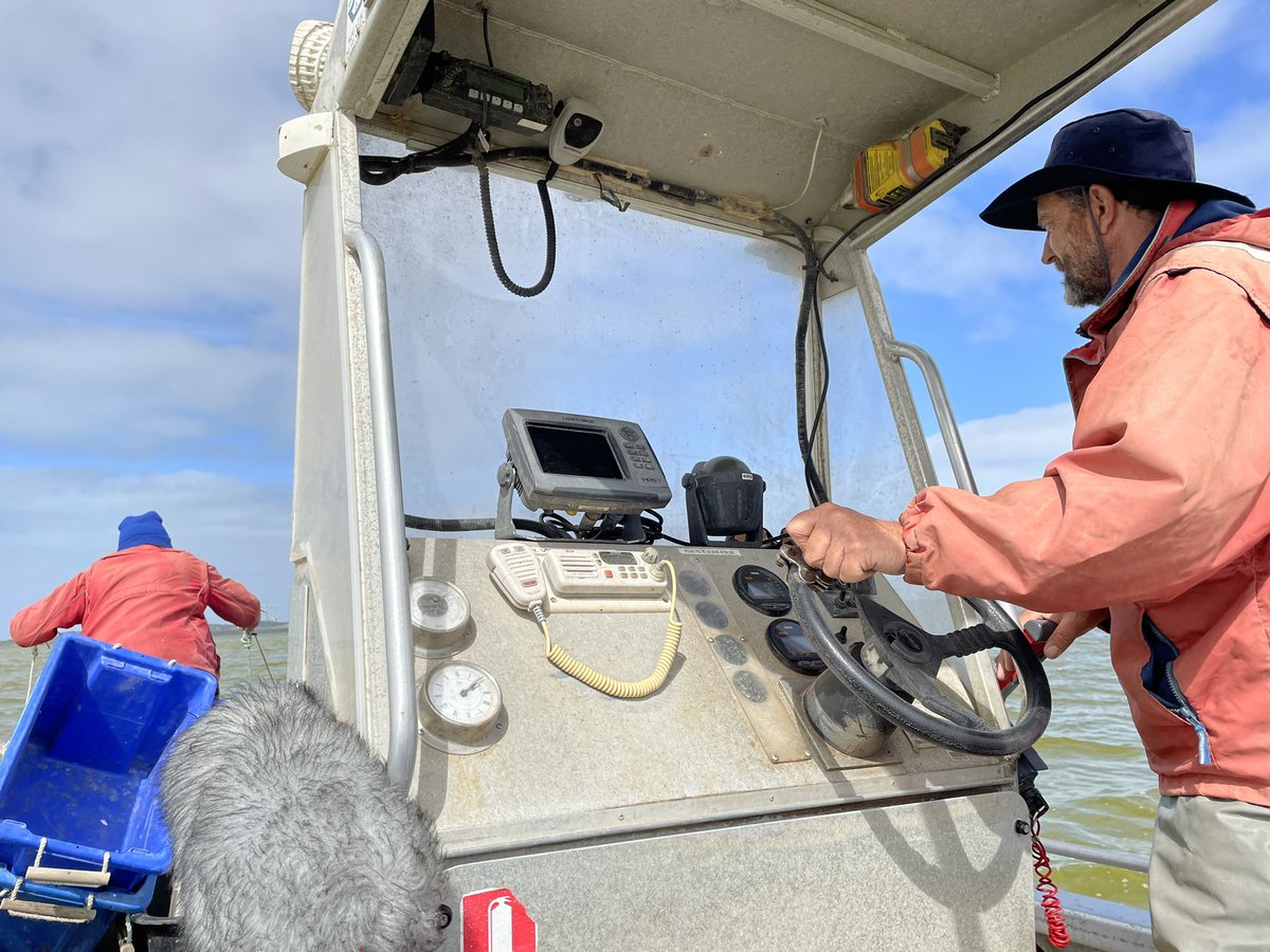CrustySound's tweet photo. Observing research into the fragile ecosystem of the Coorong - even though it doesn’t stop blowing down here my @Bubblebee_Ind #Windbubbles have given me useable audio.
#LocationSound #SouthAustralia https://t.co/ZQbEepKobe