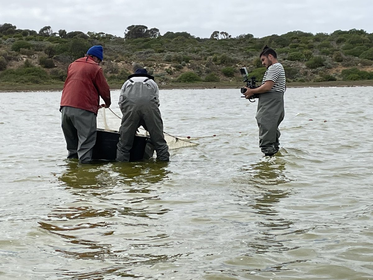 CrustySound's tweet photo. Observing research into the fragile ecosystem of the Coorong - even though it doesn’t stop blowing down here my @Bubblebee_Ind #Windbubbles have given me useable audio.
#LocationSound #SouthAustralia https://t.co/ZQbEepKobe